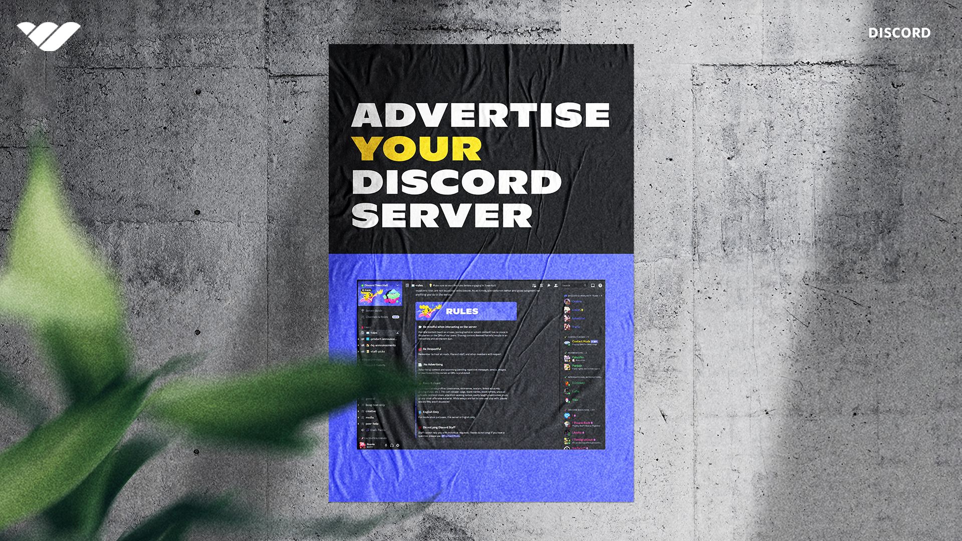 tours ads discord