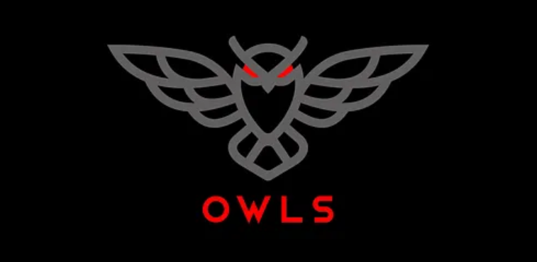 owls options