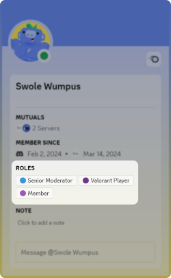 discord role and permissions