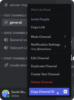 Example of Copy Channel ID button in the context menu of a text channel