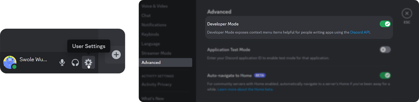 Steps to turn on Developer Mode in Discord