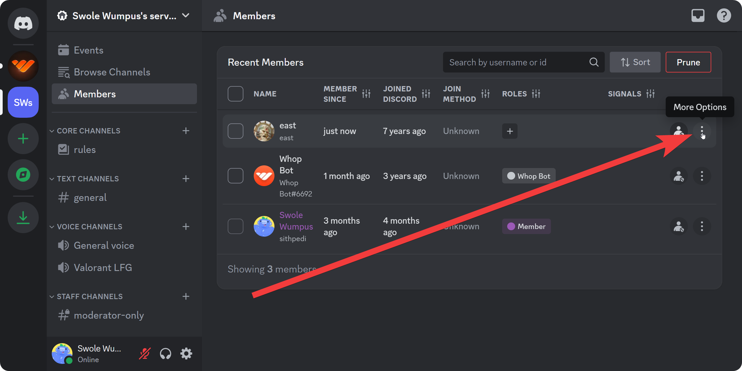 The Members section of a Discord server on the desktop version of Discord