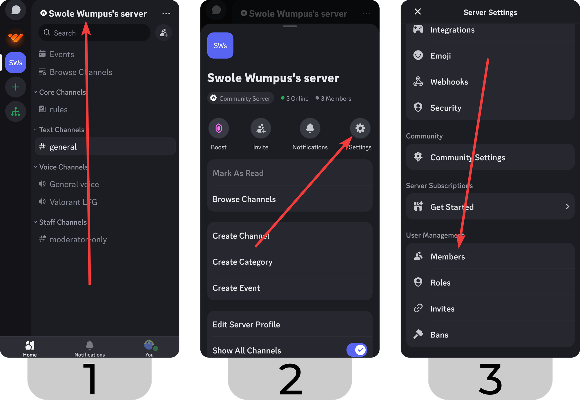 Steps of navigating into the Members section of a server on the mobile version of Discord