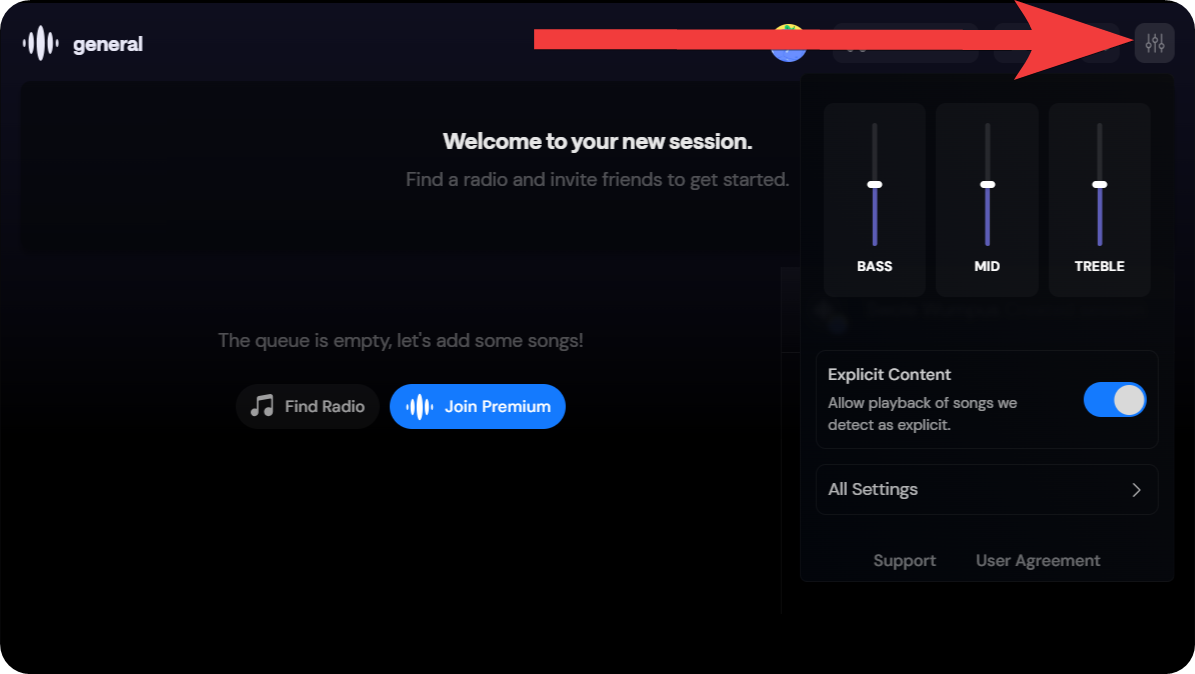 The settings of the Rythm Activity on Discord