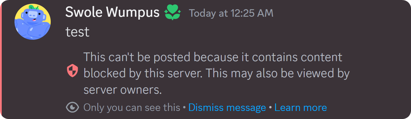 An example of a message that has been flagged by AutoMod on Discord