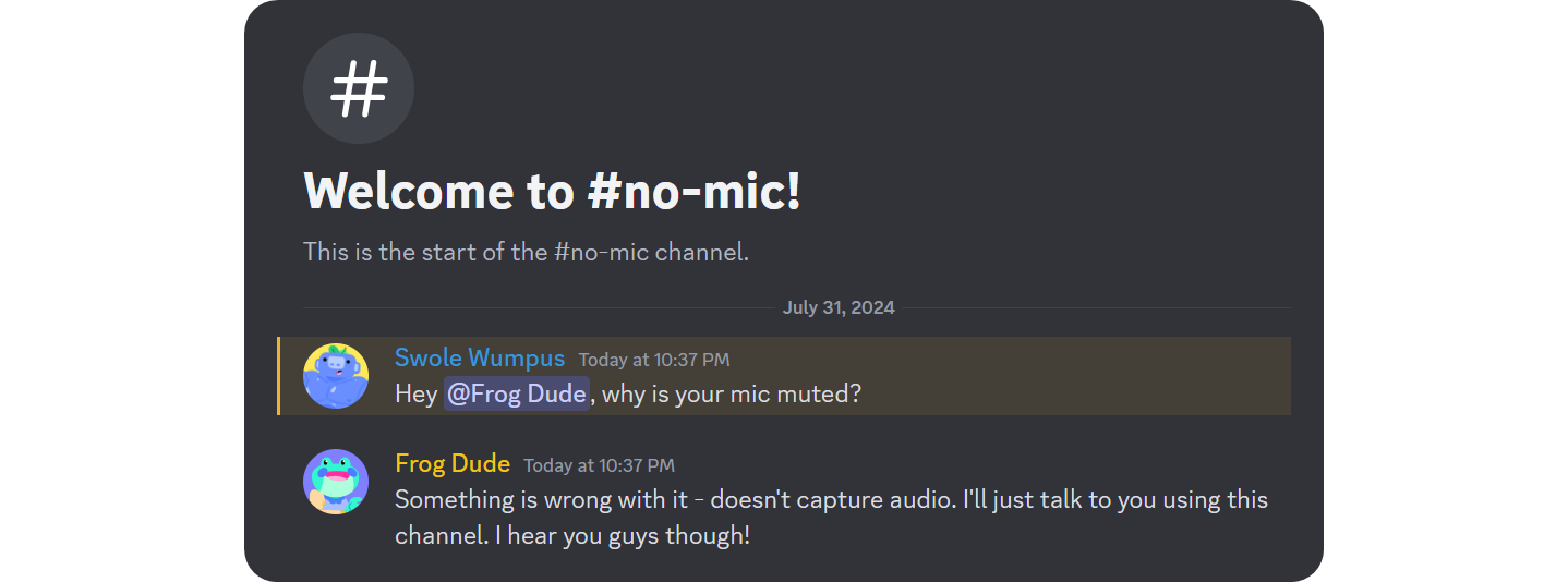 Example of a no mic channel on Discord