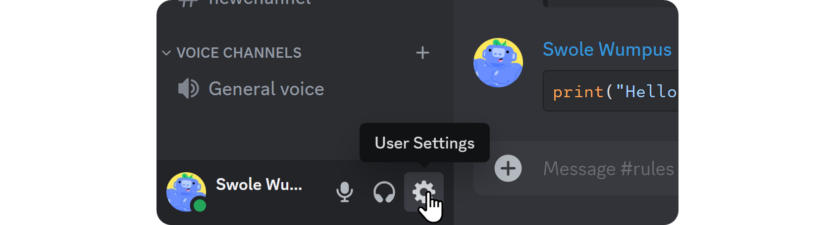 The User Settings button on Discord