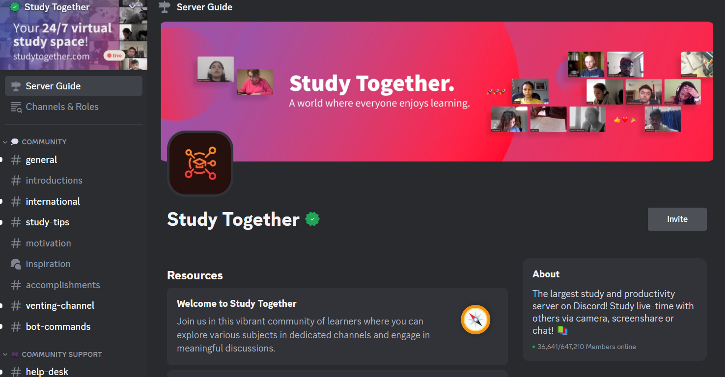 Discord study together