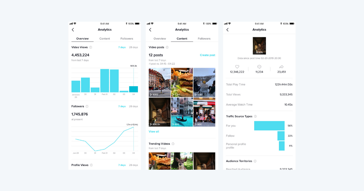 TikTok metrics