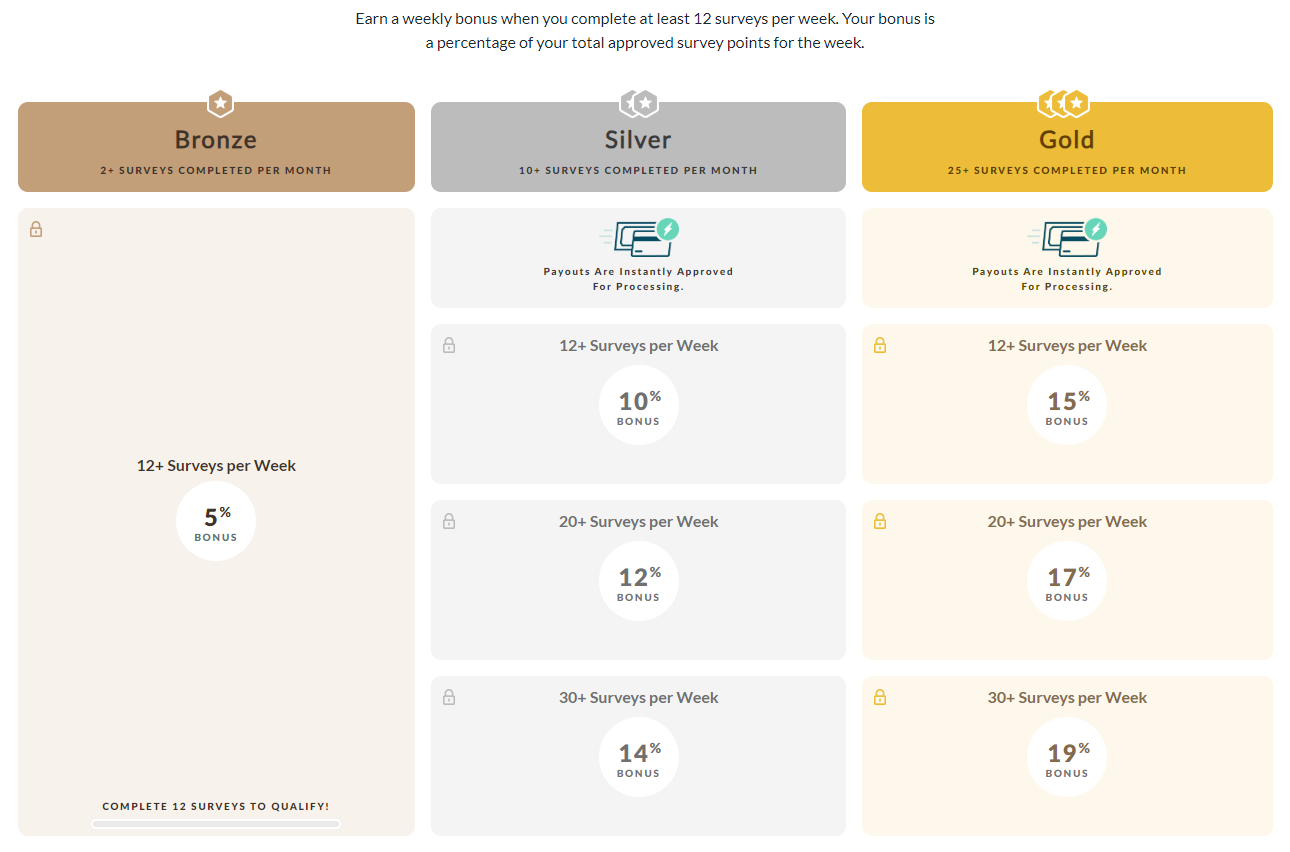 Branded Surveys payment