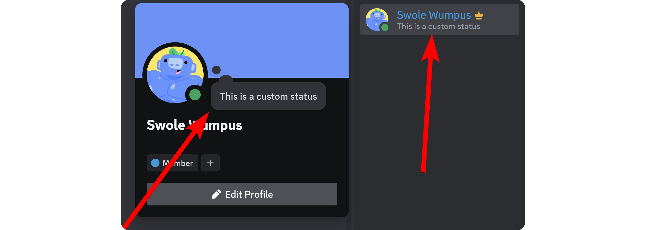 A Discord profile with a custom status set