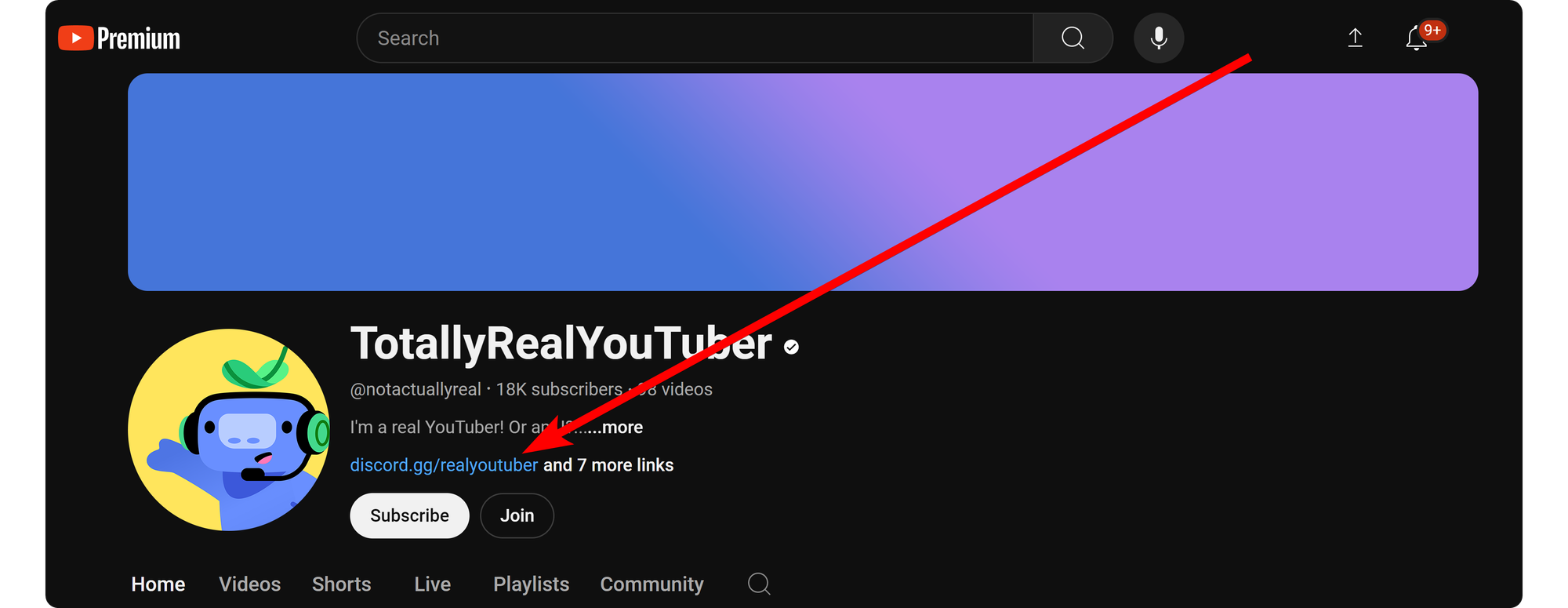 The Discord link in a YouTuber's bio