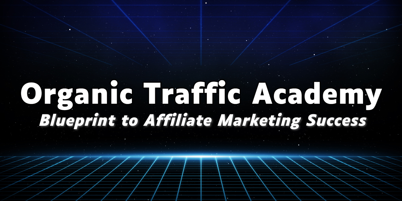 Organic Traffic Academy