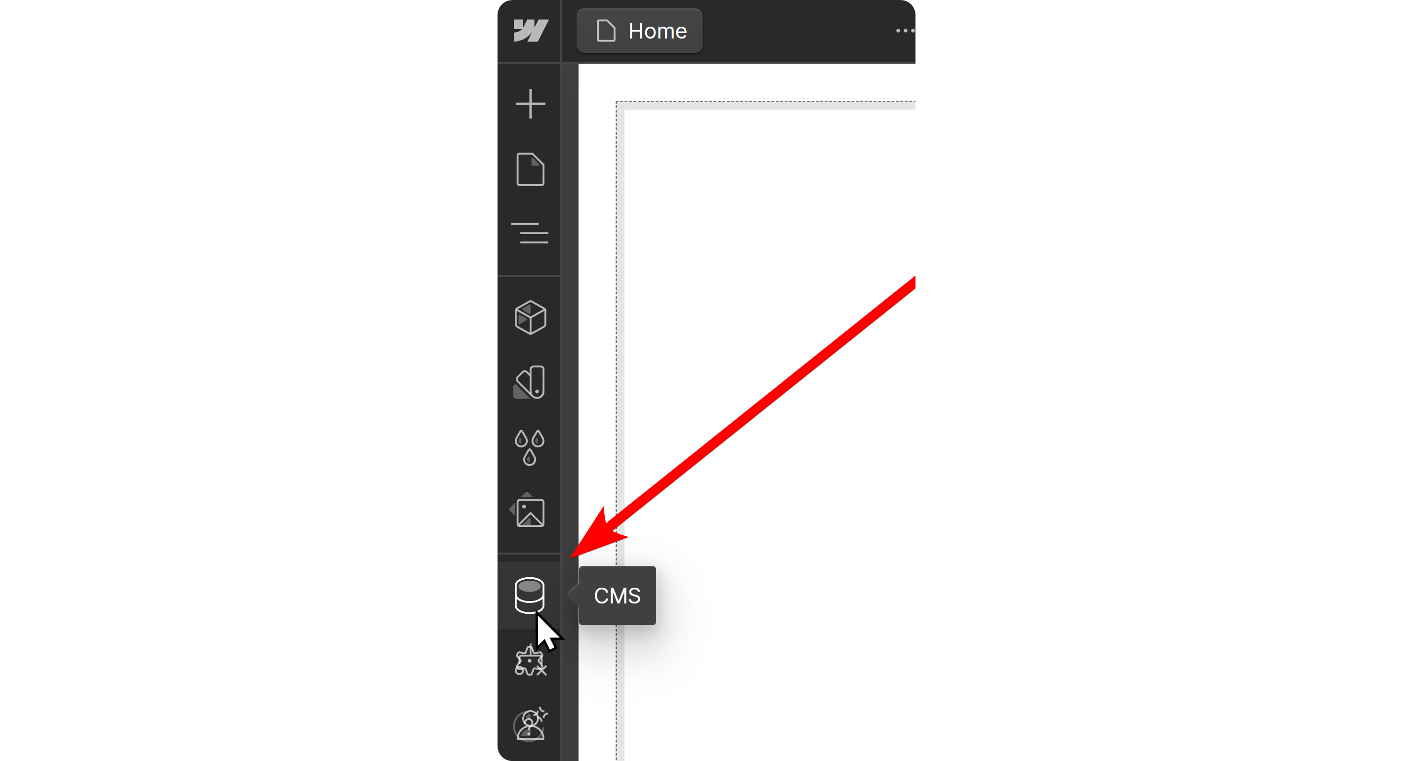 The CMS button on Webflow's visual editor