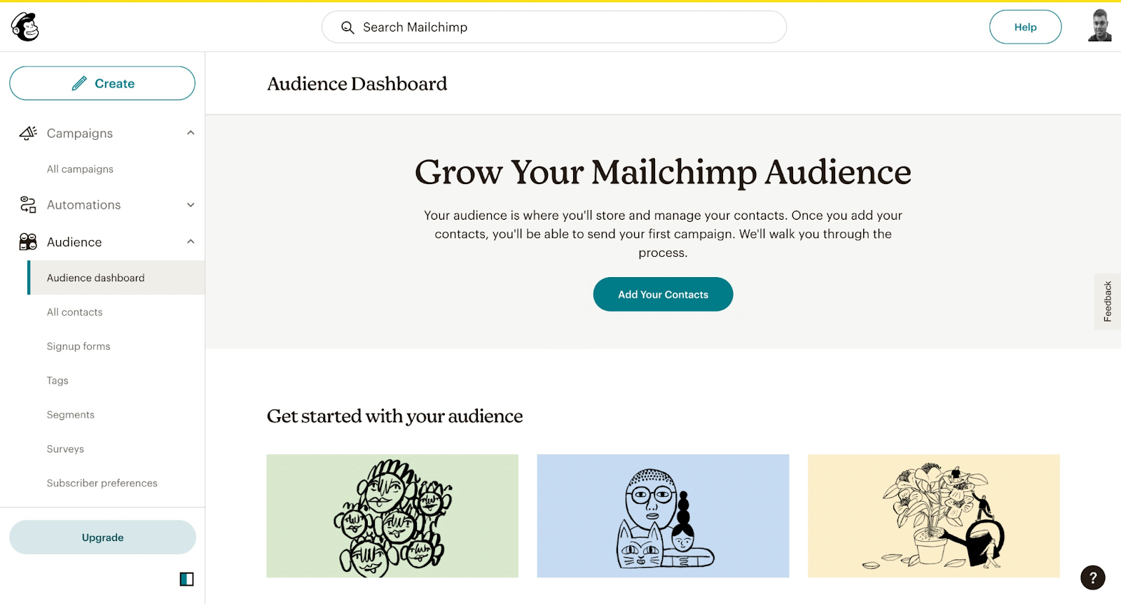 Mailchimp Audience Dashboard