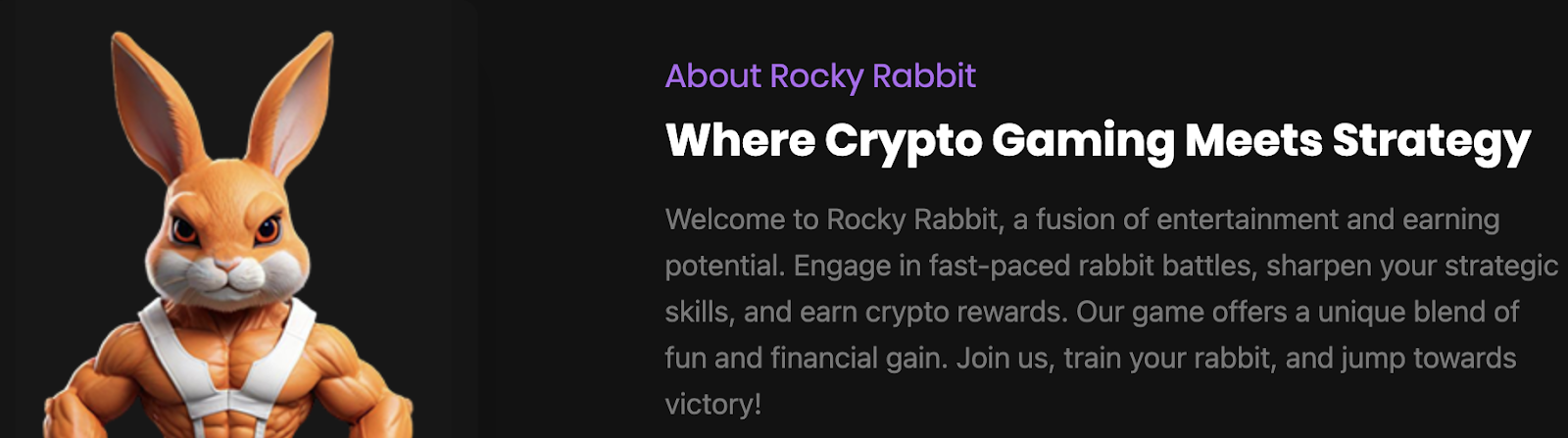 Rocky Rabbit