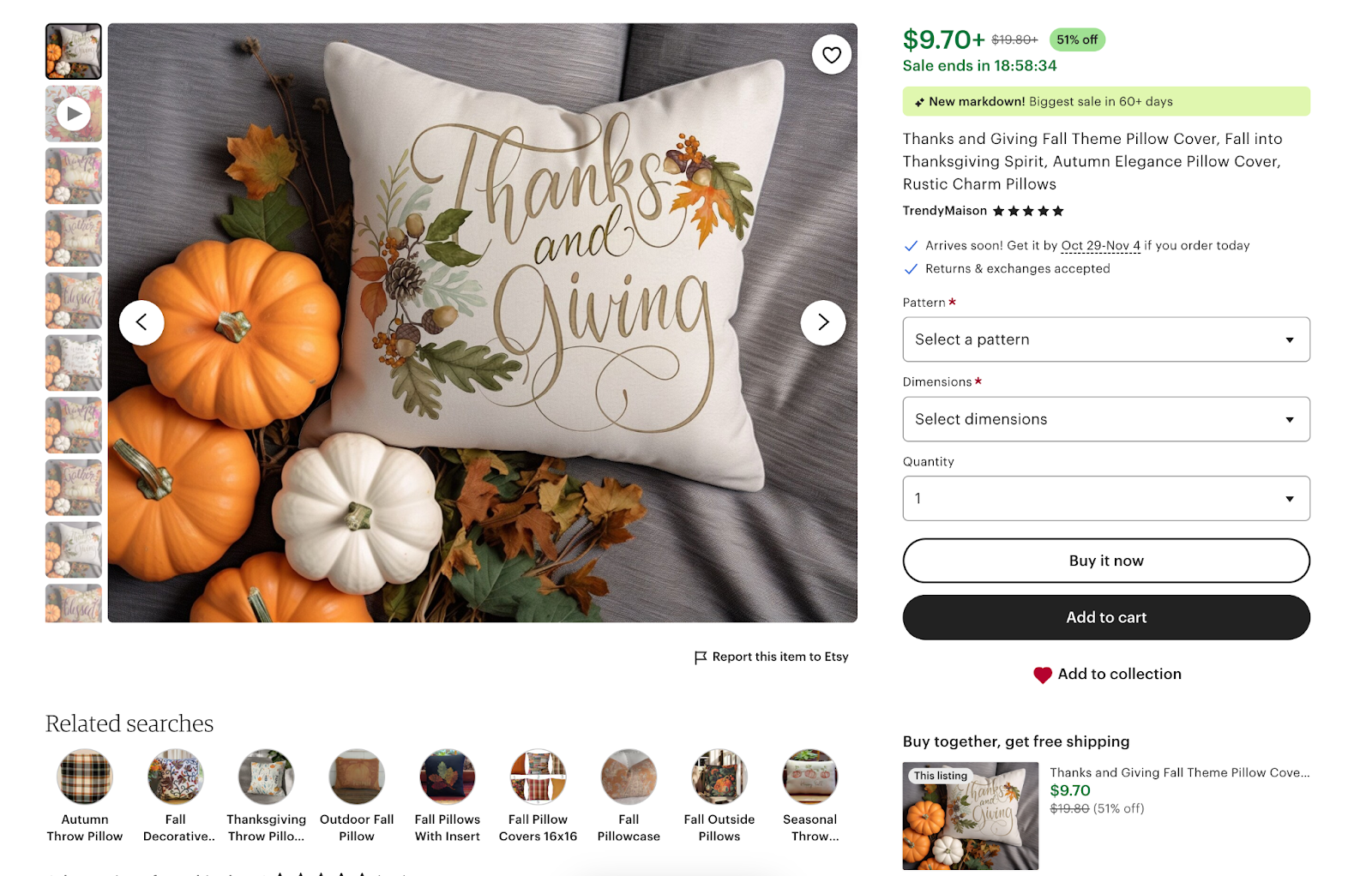 Thanksgiving-themed pillows