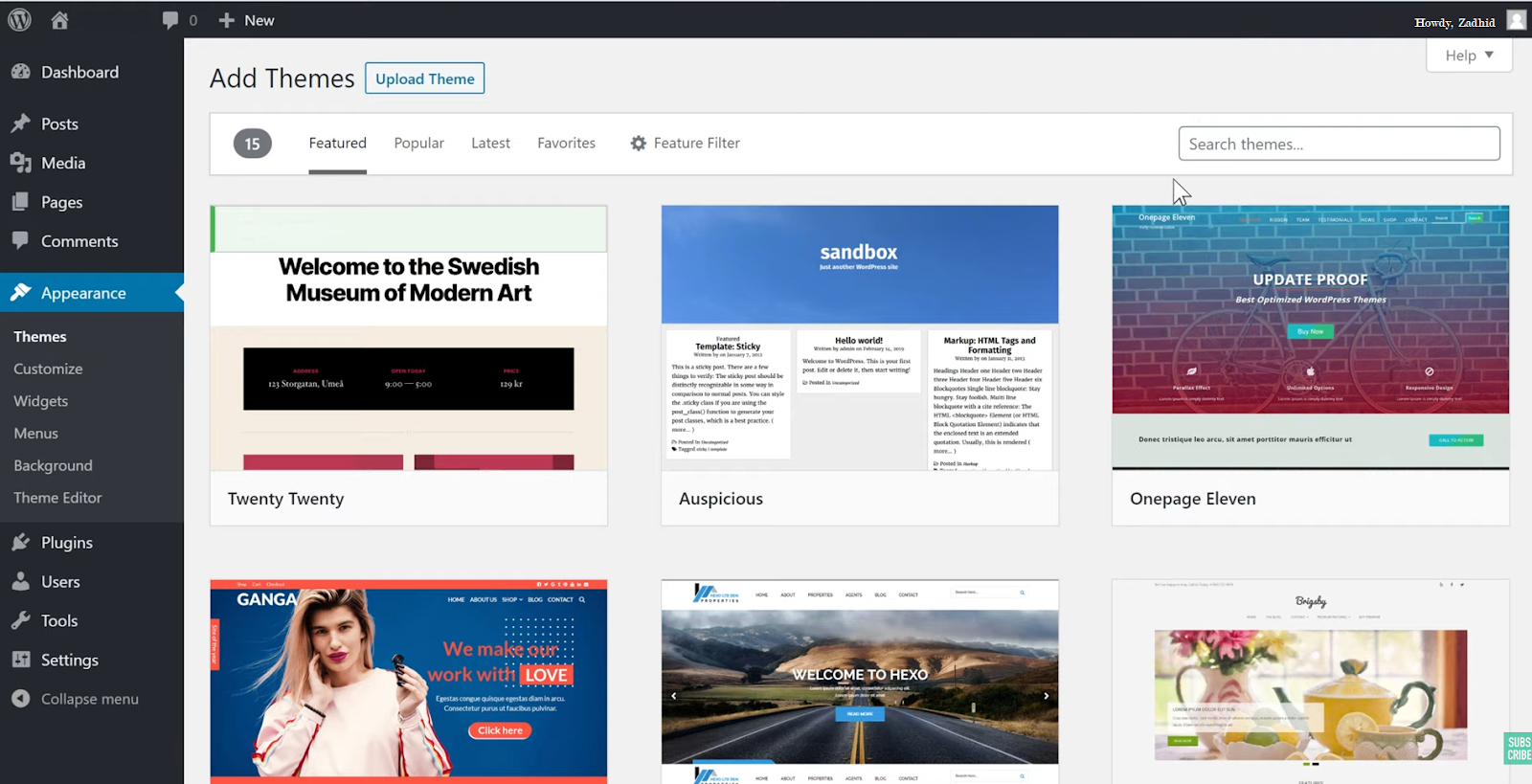 WordPress themes