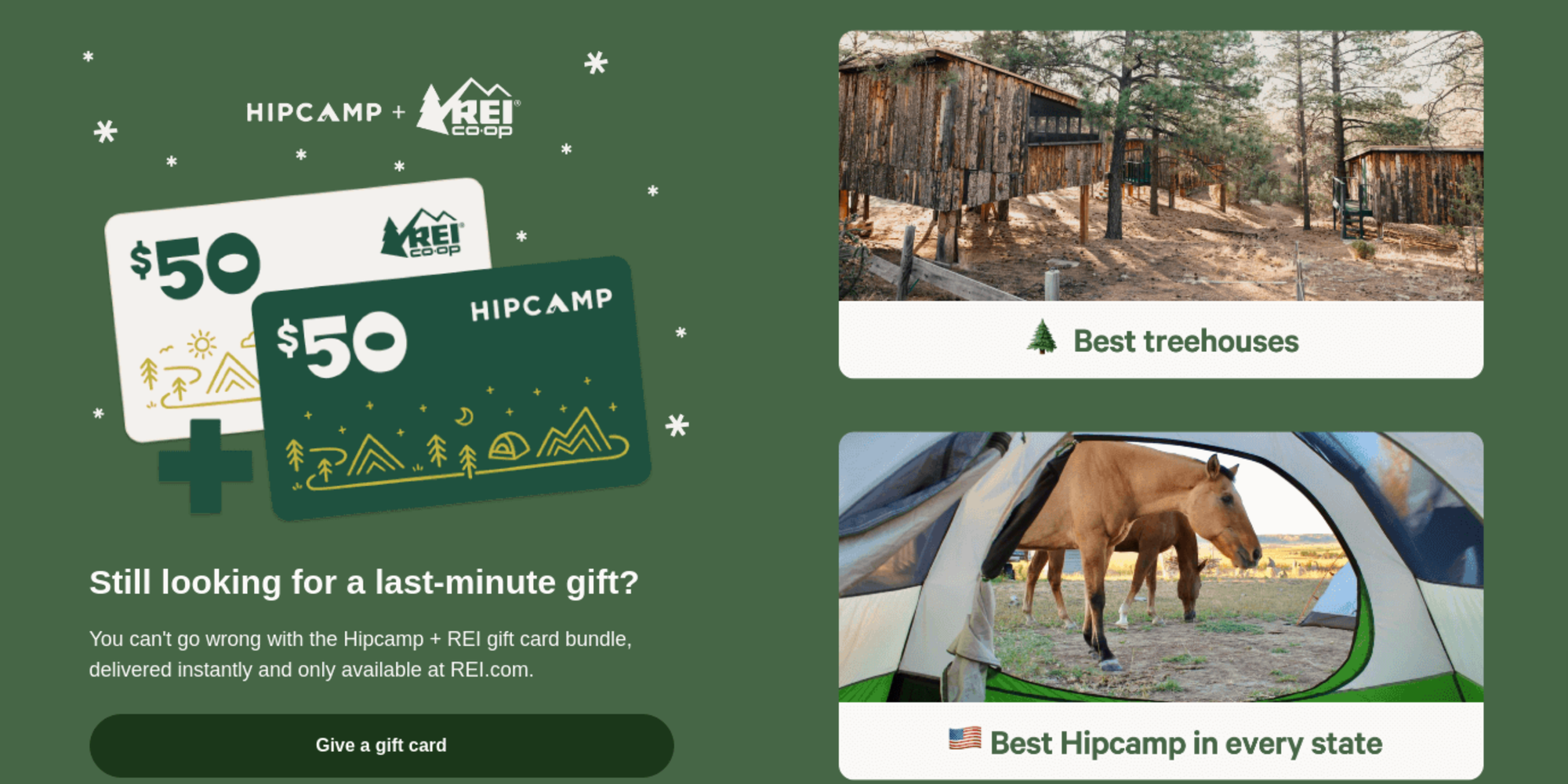 hipcamp newsletter screenshot