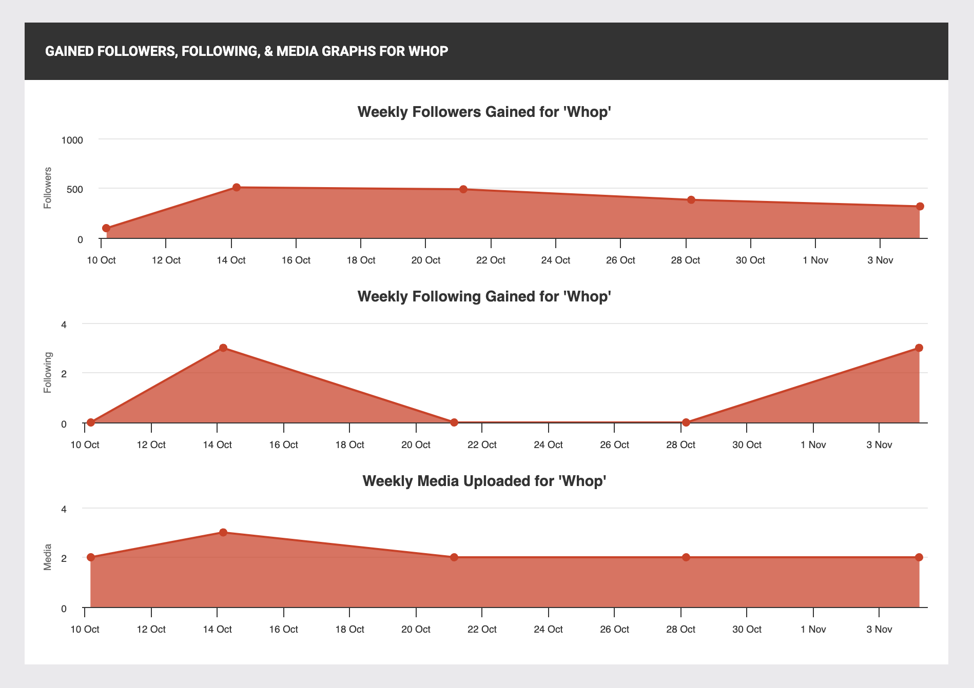 insta graphs at social blade