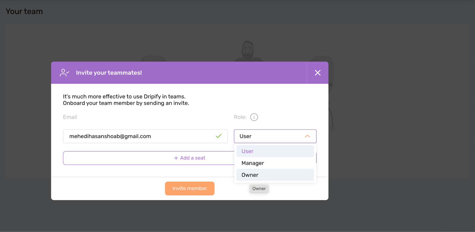 Manage team roles on dripify