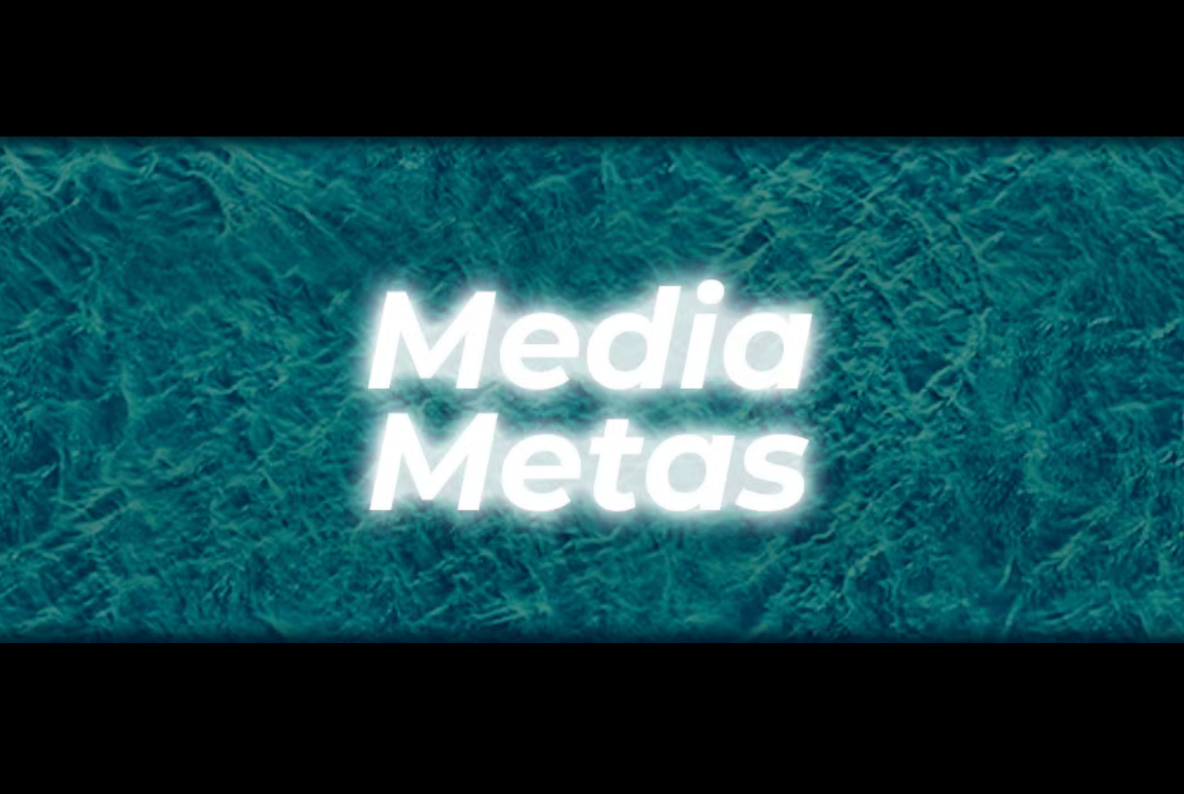 Media Metas homepage screenshot