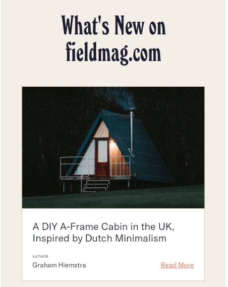 The Field Mag newsletter screenshot