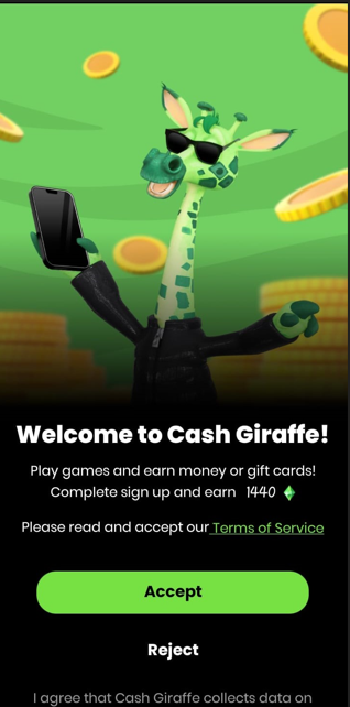 Cash Giraffe set up