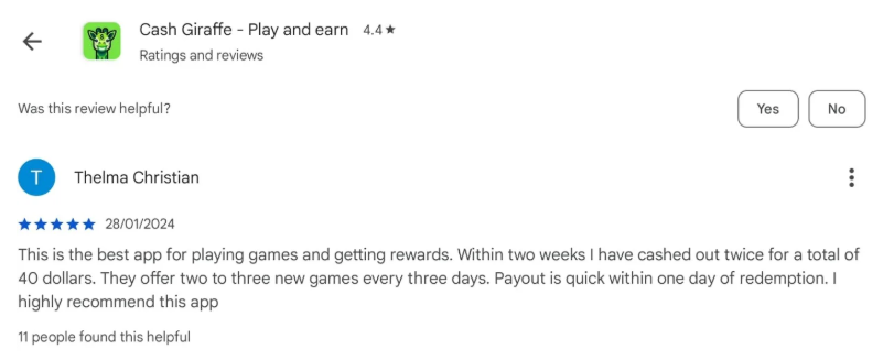 Cash Giraffe reviews