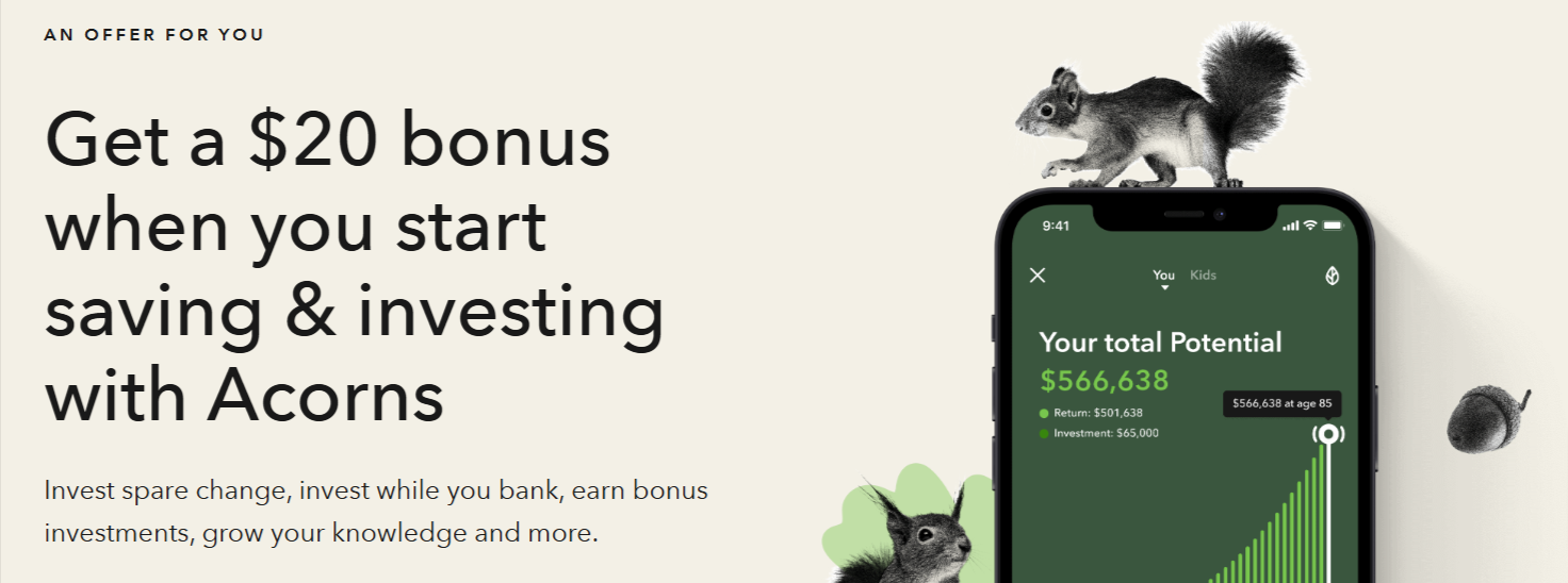 acorns