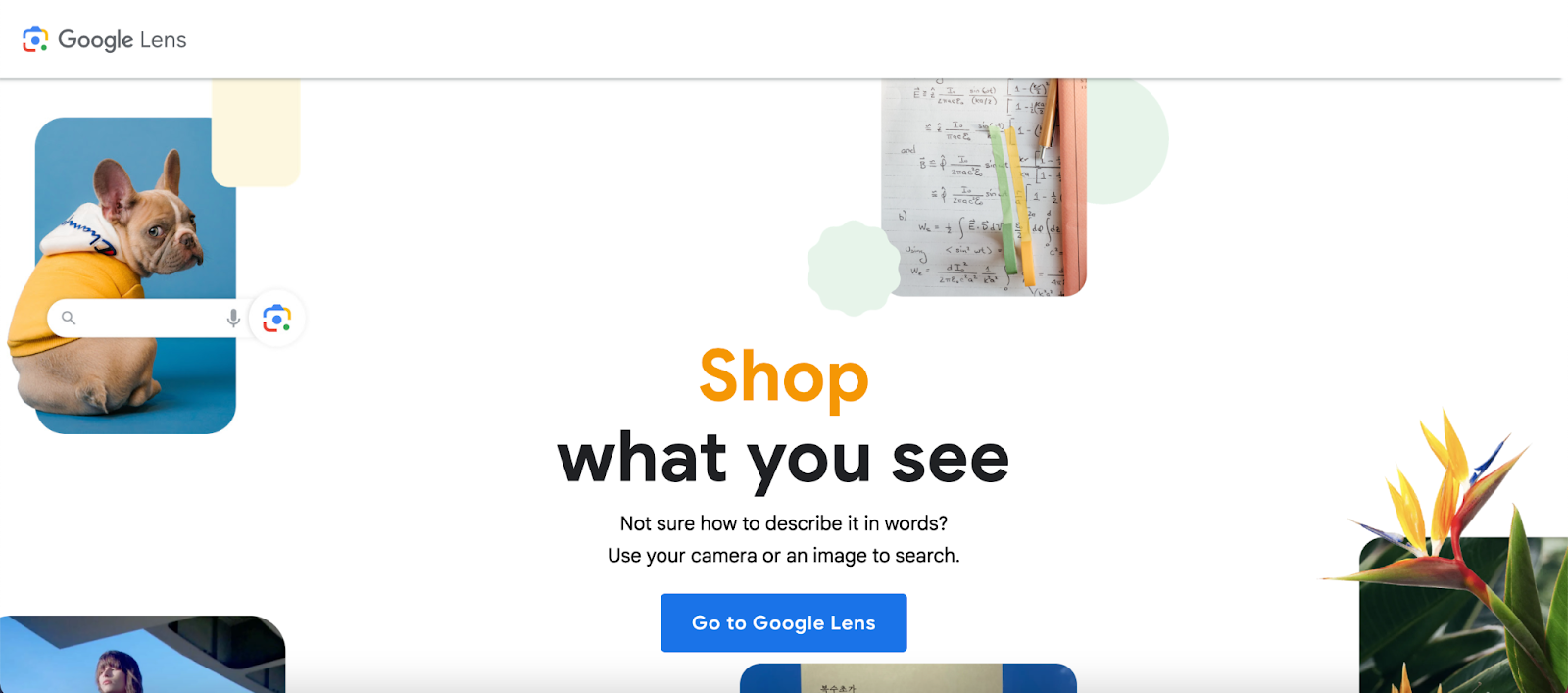 google lens