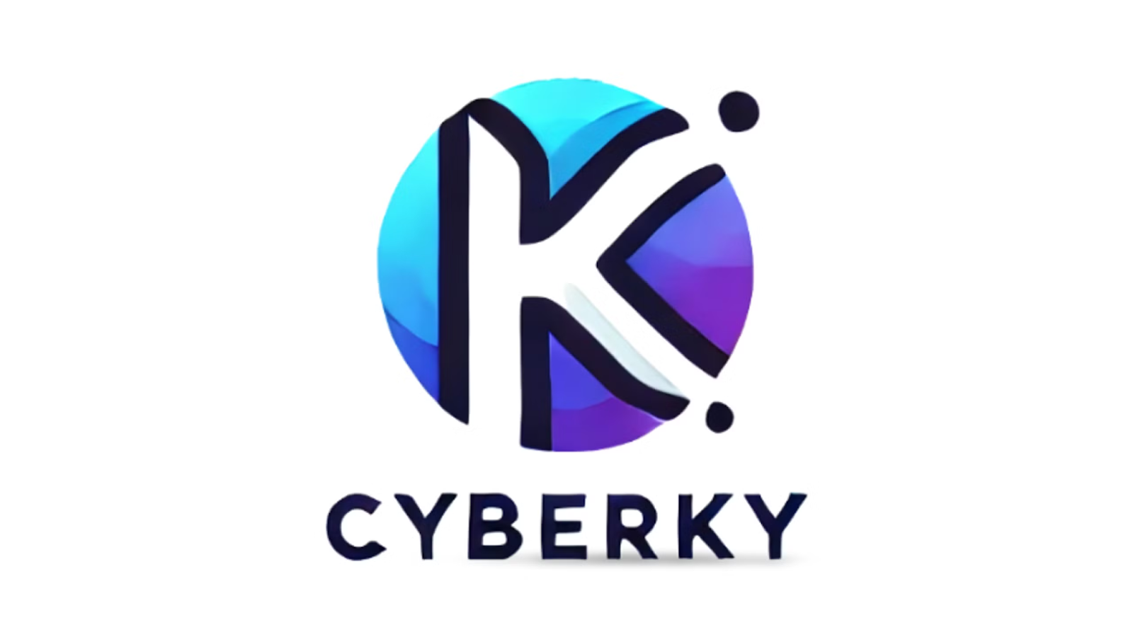 cyber warrior