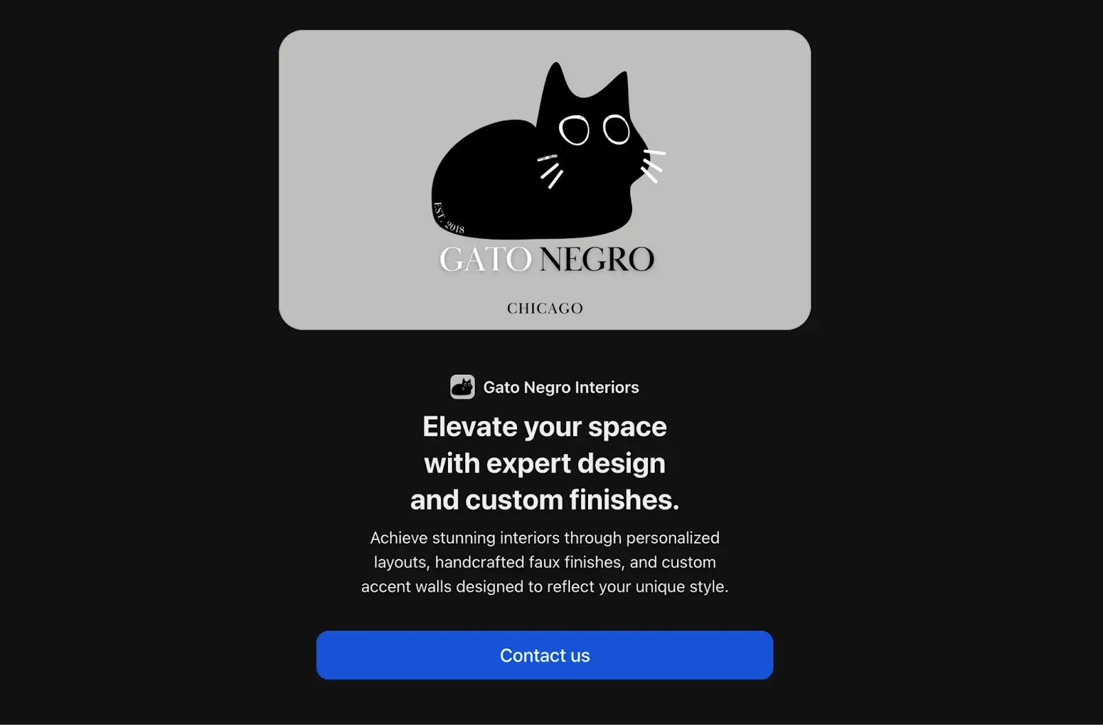 gato negro