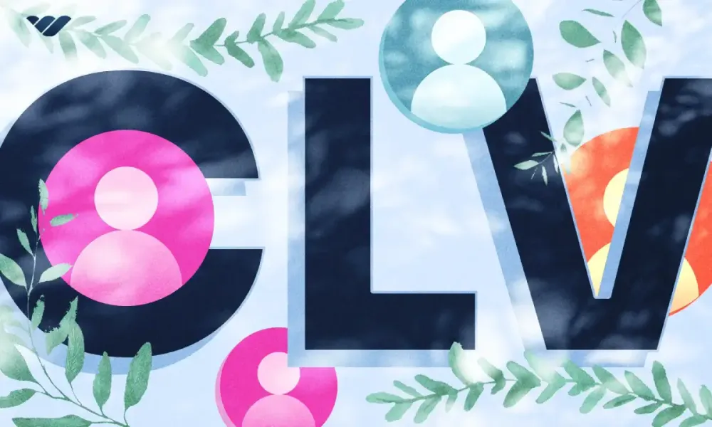 What is customer lifetime value (CLV) and why does it matter for your business?