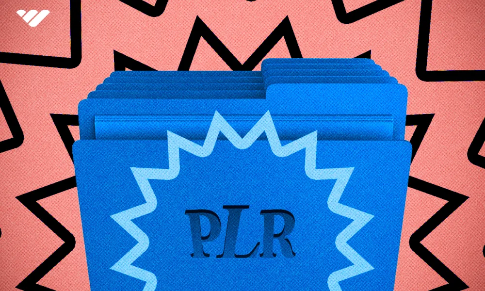 What are PLR digital products, and how can you make money with them?