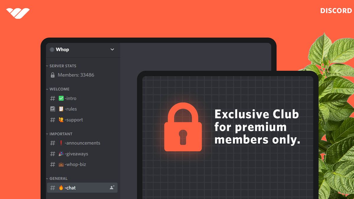 Win Premium Access to CCGHub with Discord Nitro! 