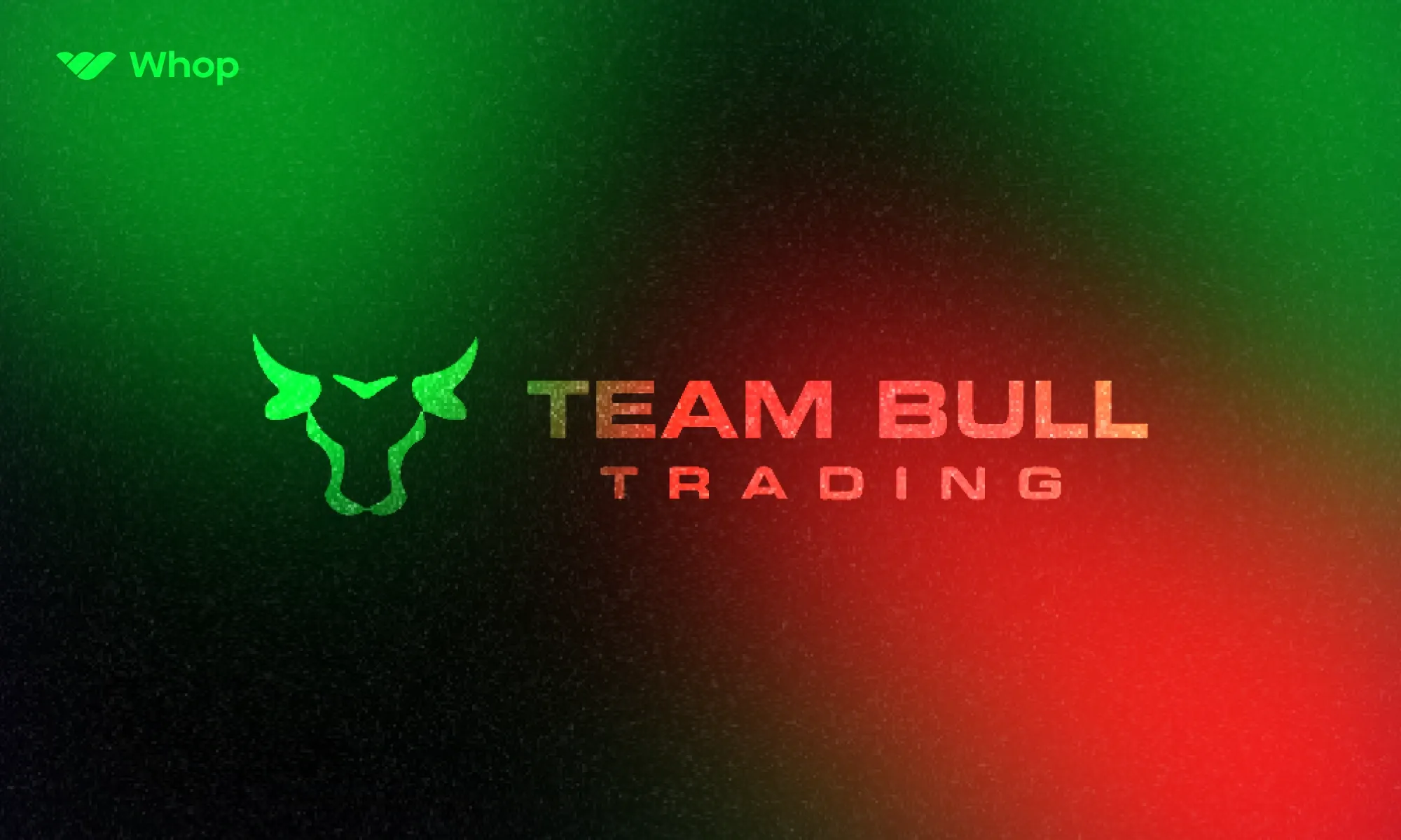 Team Bull Trading