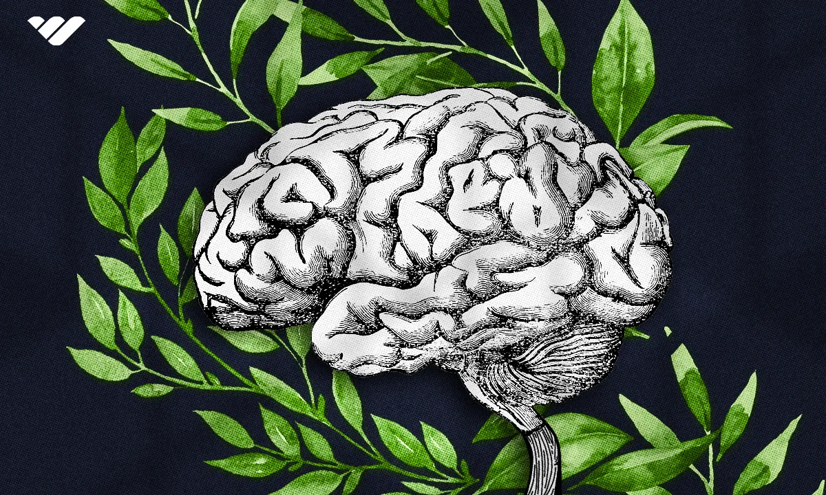 25 hobbies that can make you money