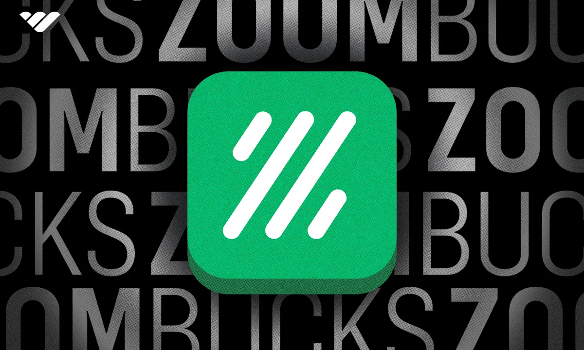 ZoomBucks Review
