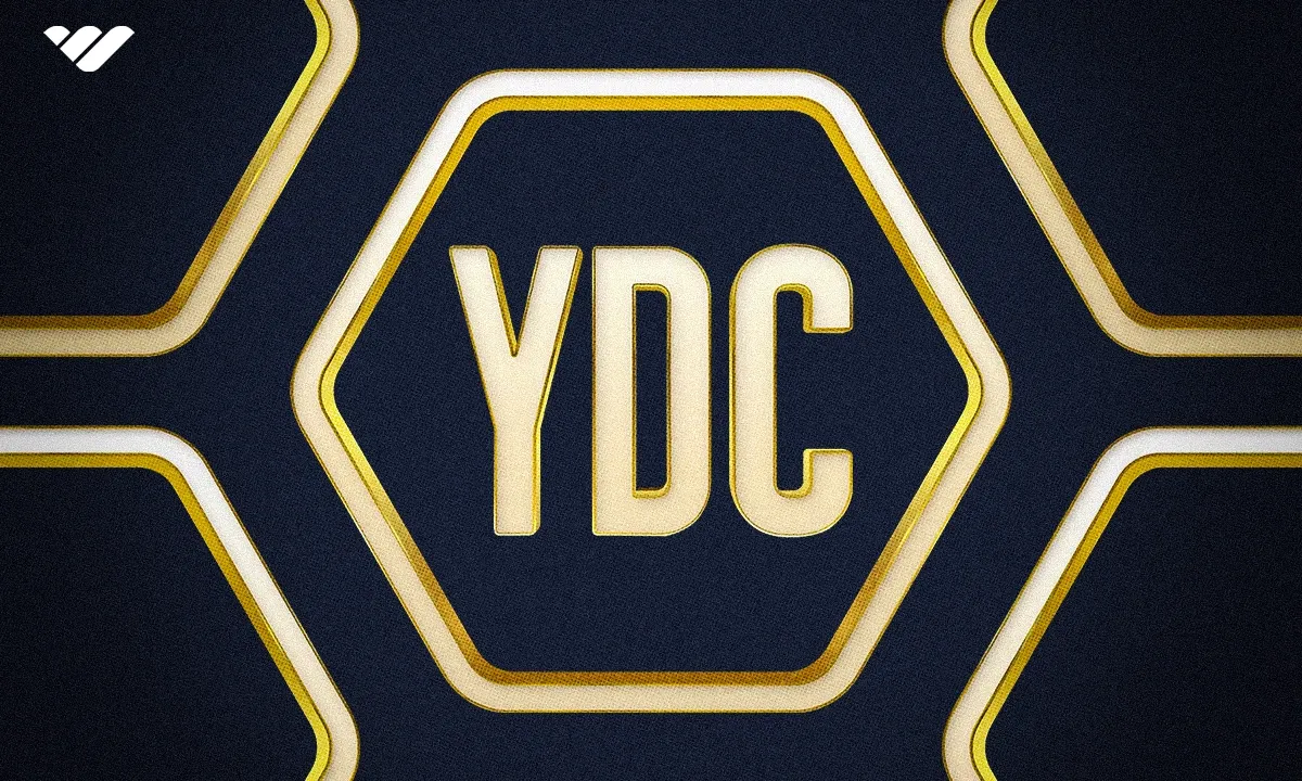 Your Daily Capper review