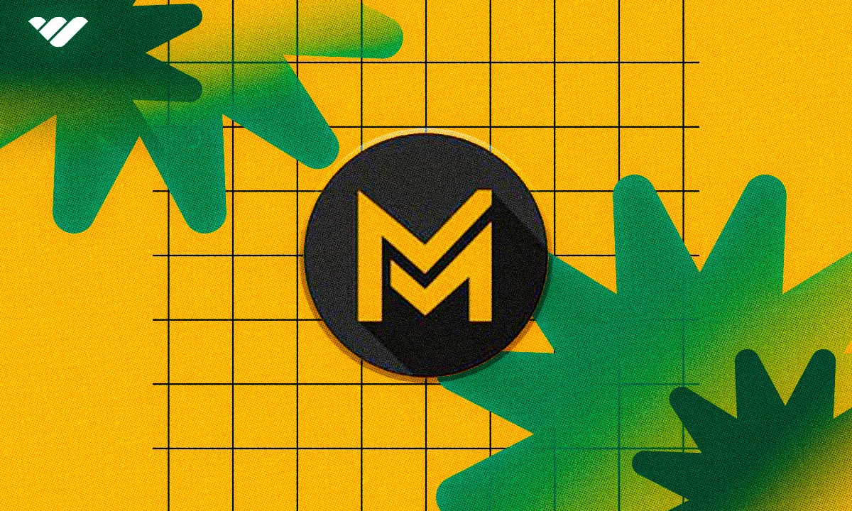 YT millionaire system