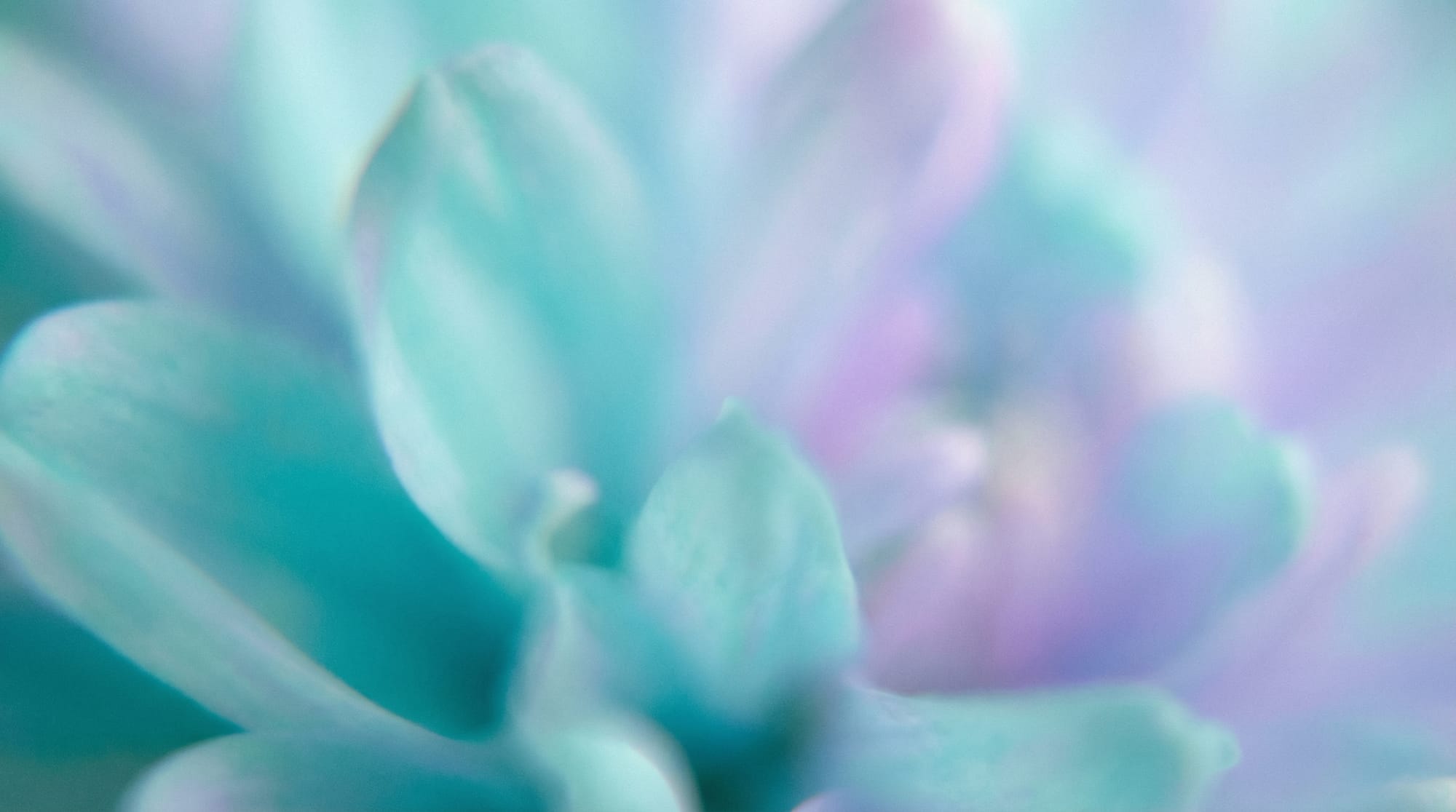 A thumbs up poking out of a telescope, artists rendition