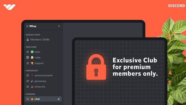 How to Charge Access to Discord: Monetize Your Community With These Tips