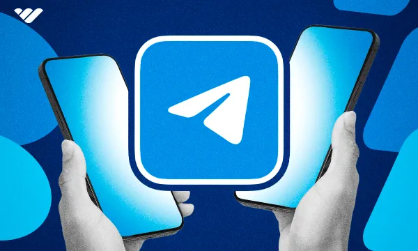 Telegram Channel vs Group: Key differences you need to know