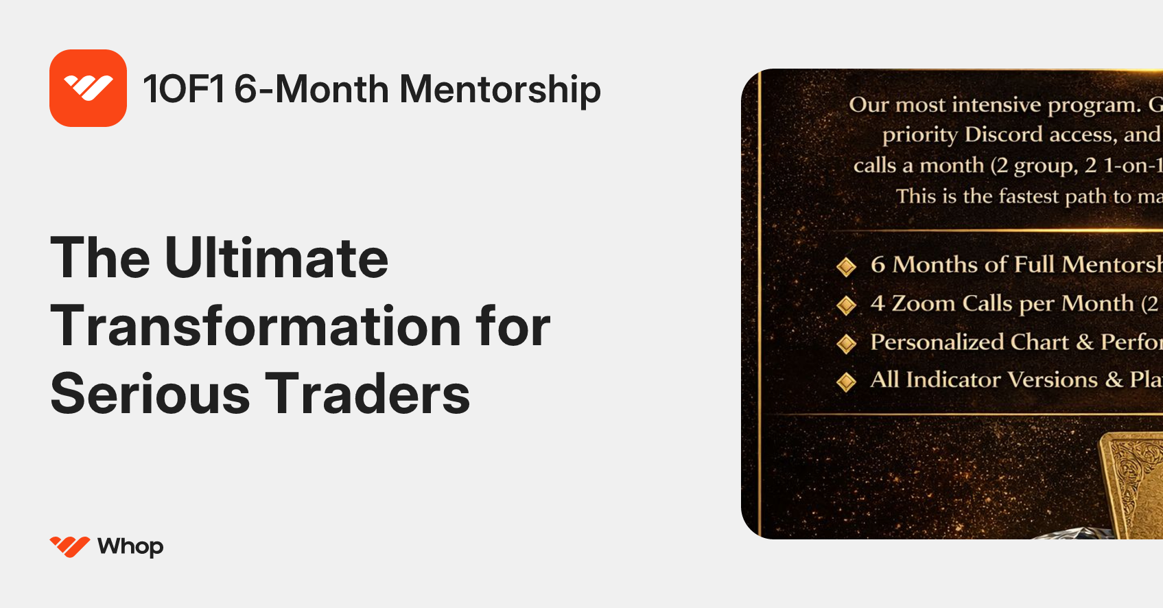 1OF1 6-Month Mentorship | Whop