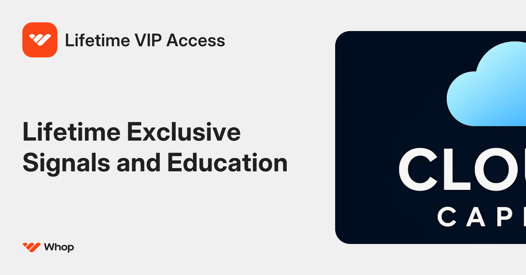 Lifetime VIP Access | Whop