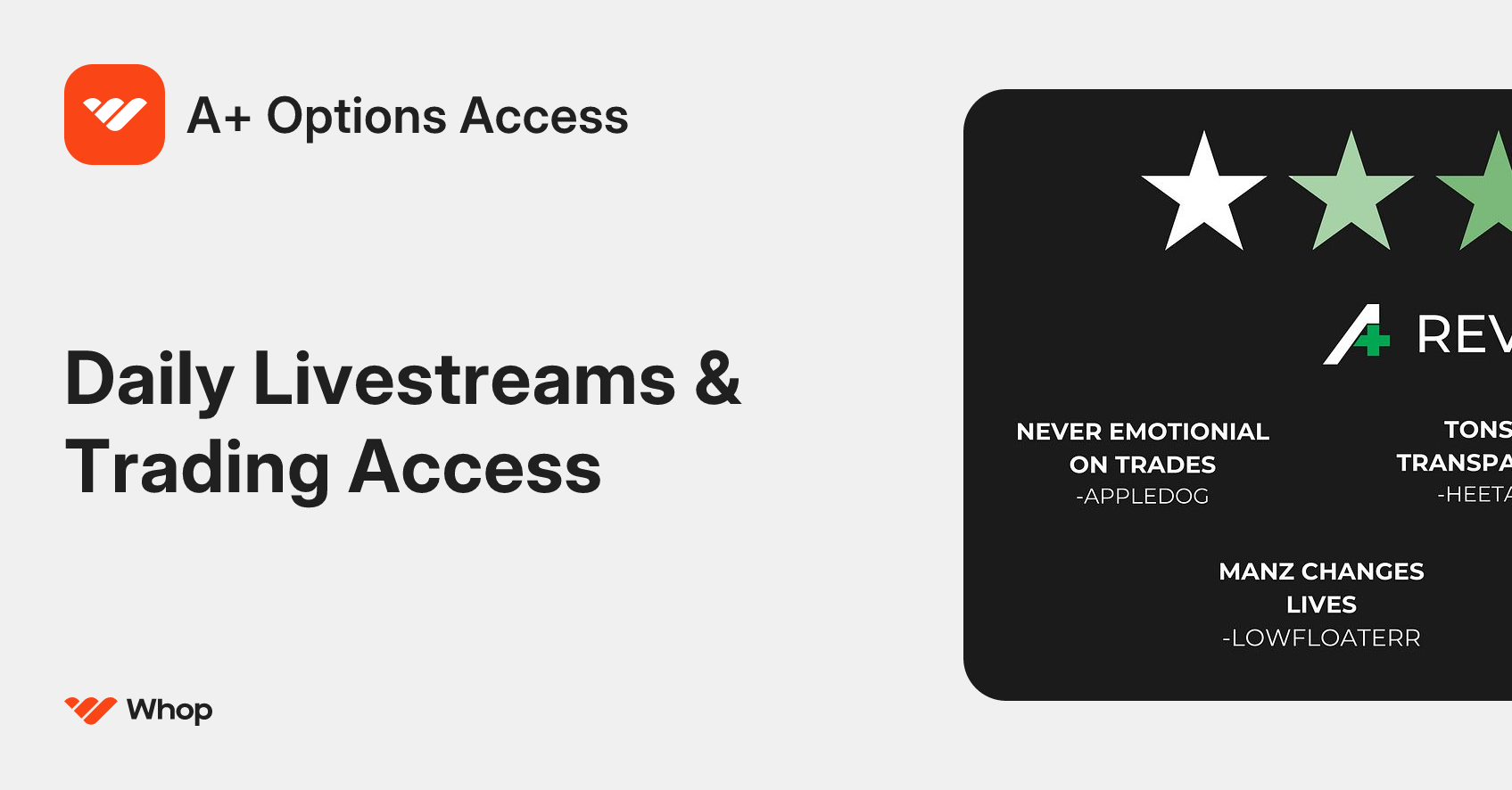 A+ Options Access