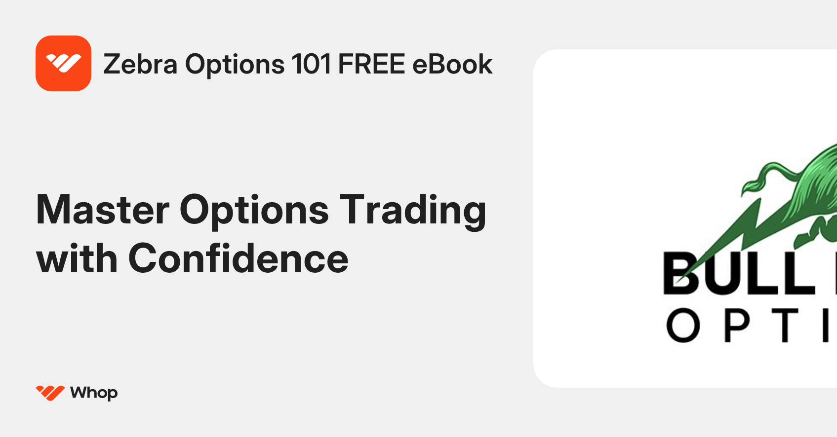 Zebra Options 101 FREE eBook | Whop