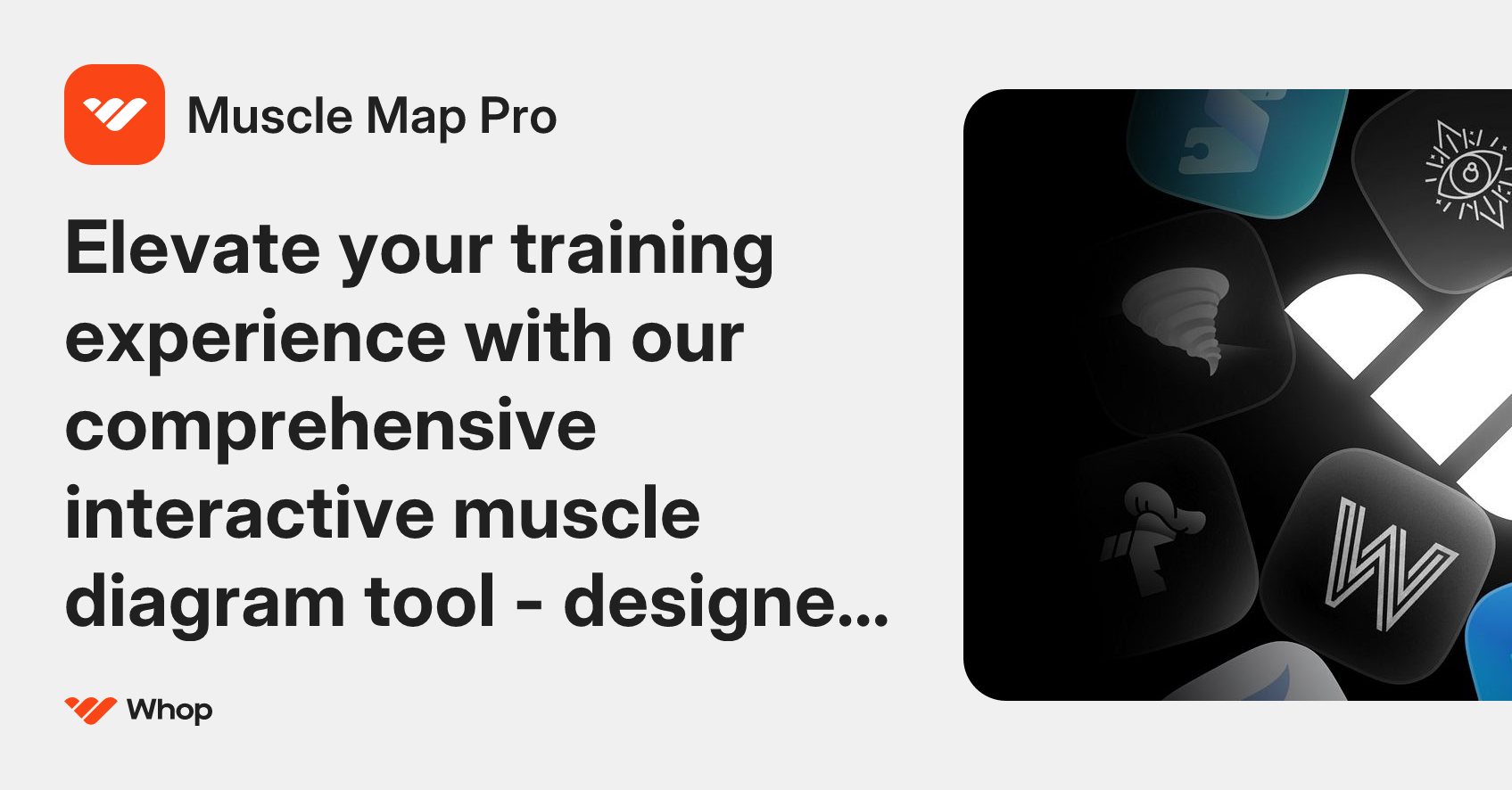 Muscle Map Pro | Whop