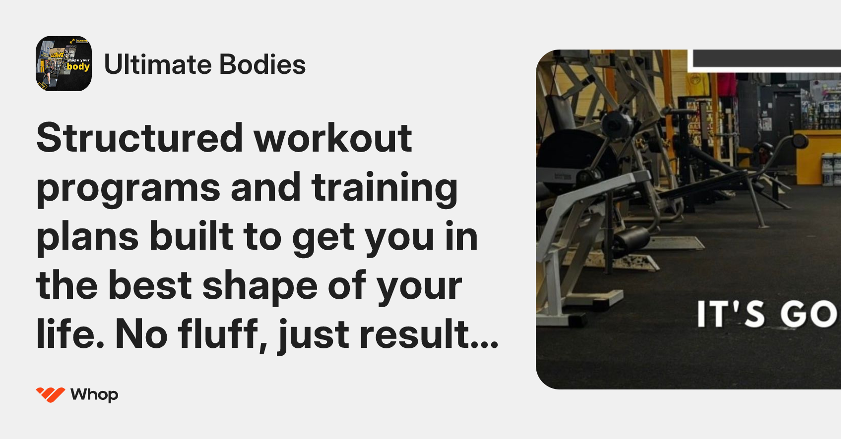 Ultimate Bodies | Whop